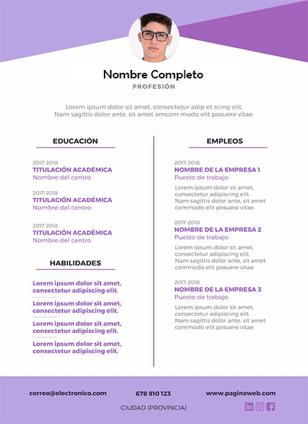 plantilla currículum control de accesos
